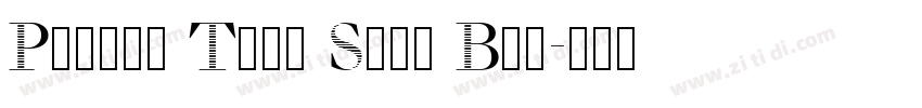 Picara Text Sans Bol字体转换 Picara Text Sans Bol字体转换